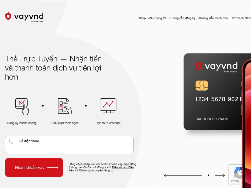 VAYVND CPA VN