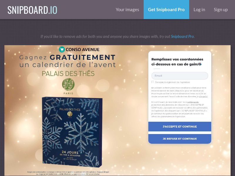 Conso Avenue - Gourmet Advent Calendars FR - SOI *PREFILL*