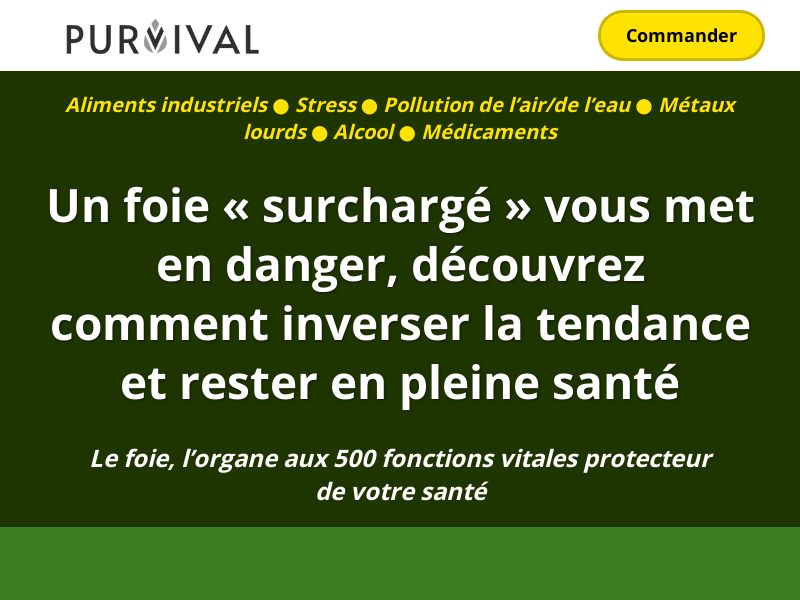 Integrale Detox [FR,BE] (Social,Banner,Native,Push,SEO,Search) - CPA {No BrandBidding} 