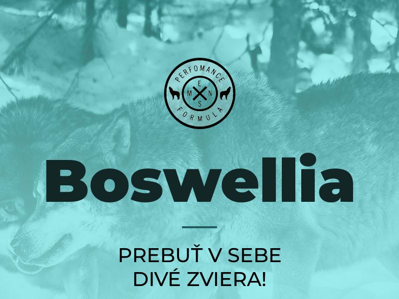 Boswellia SK (potency) - low price