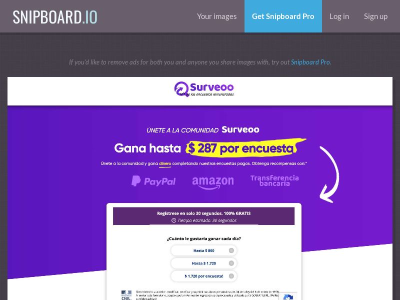 Surveys - Surveoo SV - SOI (Landing Page #2)
