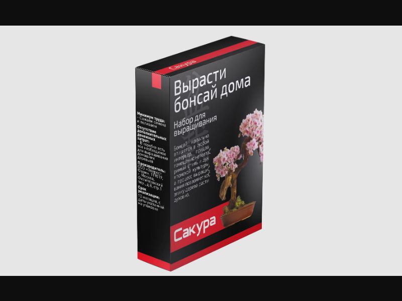 Bonsai Tree Growing Kit