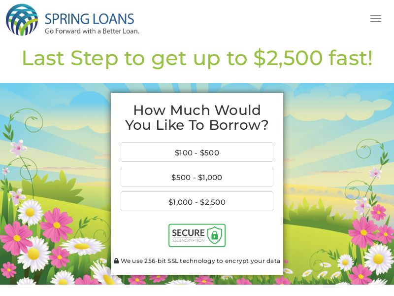 Spring-loans