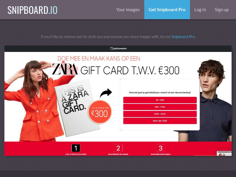 Quiztionnaire - Zara 300 EUR NL - SOI