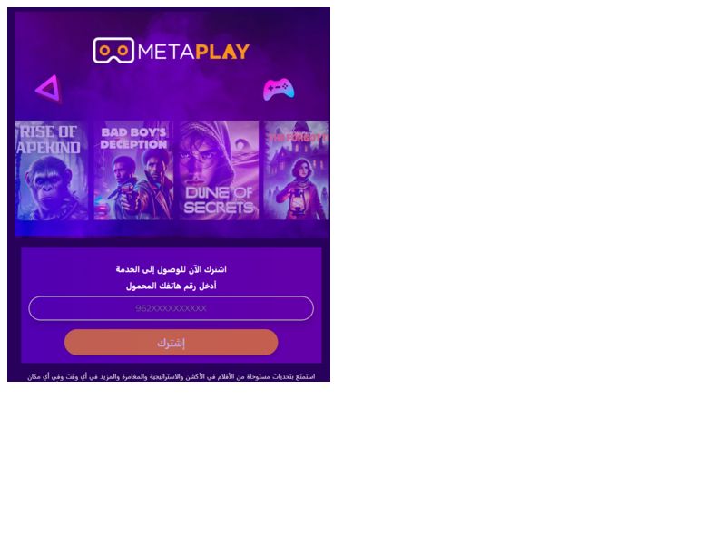 Metaplay Wifi