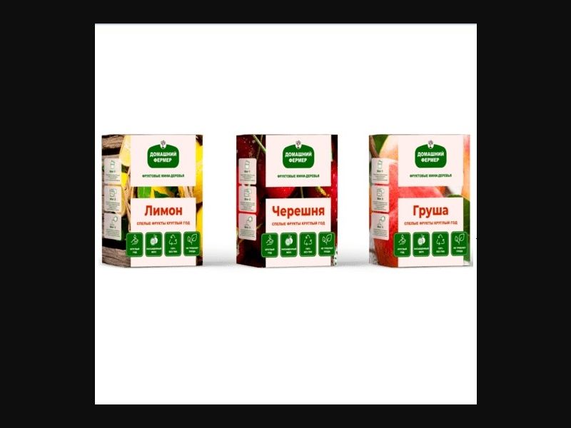 Mini Fruit Trees | free