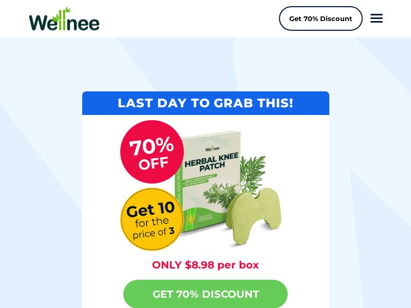 Wellnee Pain Relief Patches High CTC [INTL] (Social,Banner,Native,Push,SEO,Search) - CPA {No BrandBidding}