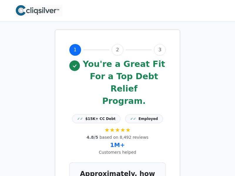 CliqSilver.com Credit Card Debt CPL (Lead Gen) - USA