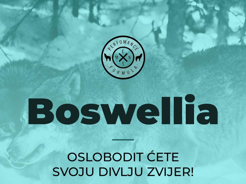 Boswellia HR (potency)