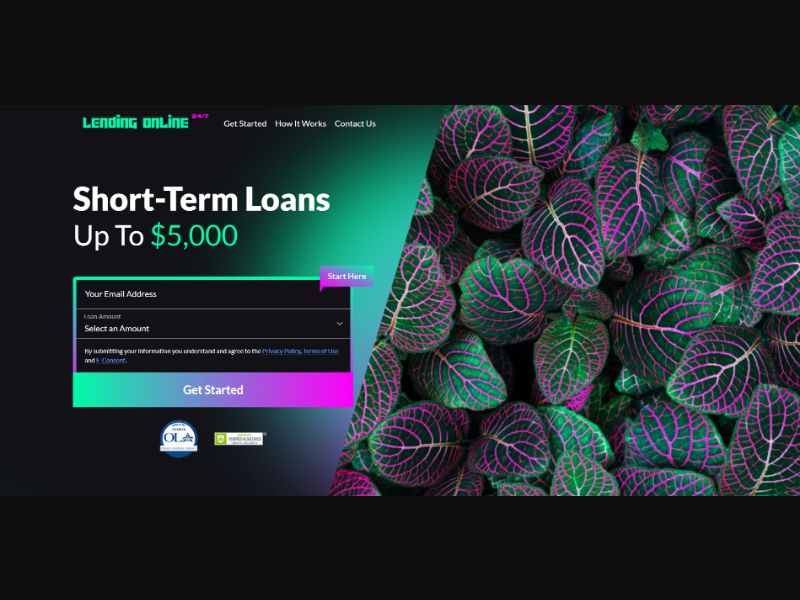 [WEB+MOB] LendingOnline247 (up to $5,000) /US RevShare [Approval Required]