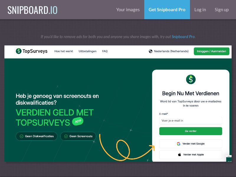 Surveys - TopSurveys NL - DOI