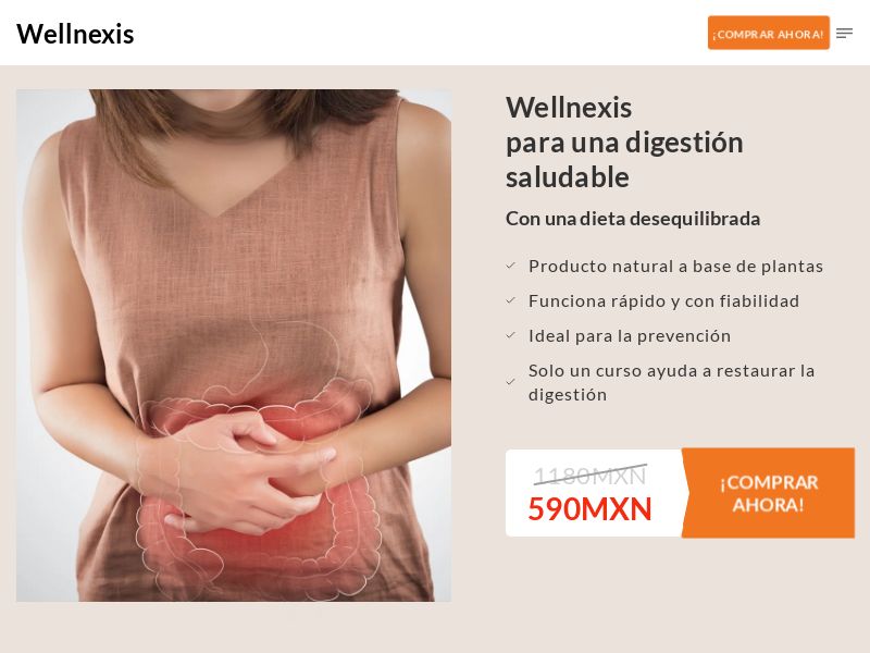 Wellnexis 590 MXN - SUPPLEMENT FOR GASTROINTESTINAL WELLNESS