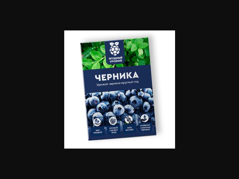 Homemade berries - blueberries | low price
