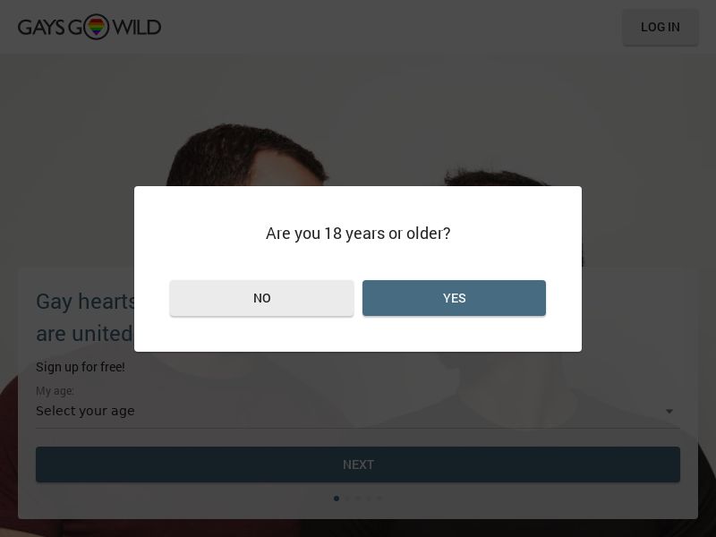 GaysGoWild - SOI - CPA - Desktop & Mobile [IR]