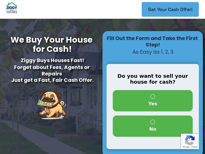 Ziggy Buys Houses - CPL | US