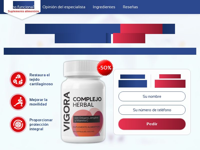VIGORA 590mxn - ARTHRITIS PRODUCT