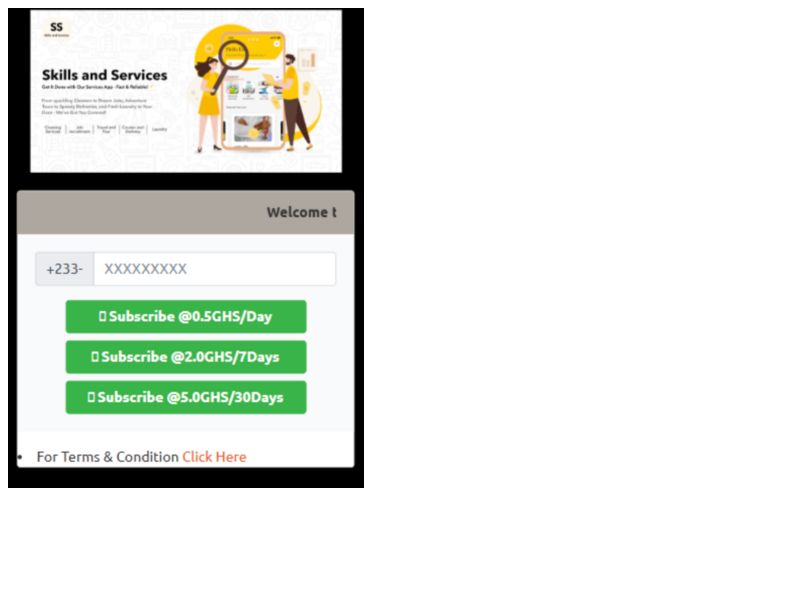 Skill and Services MTN