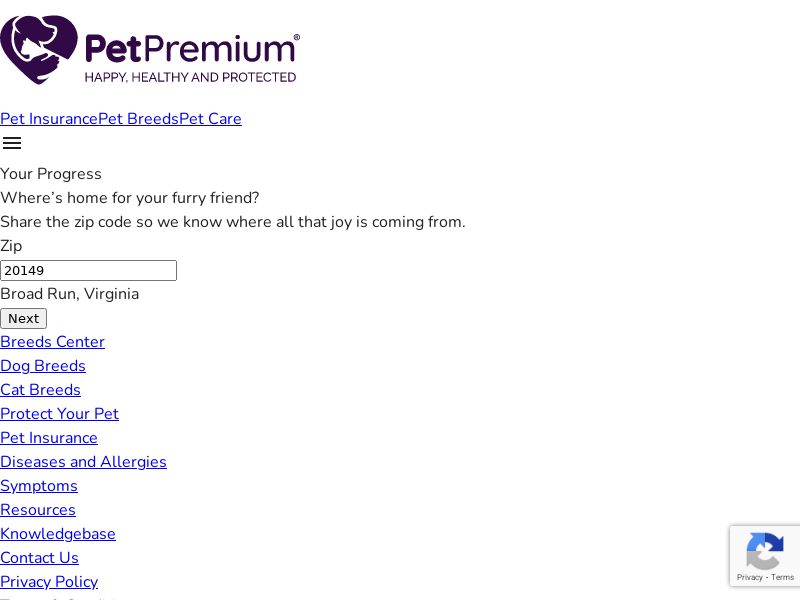 Pet Premium - US
