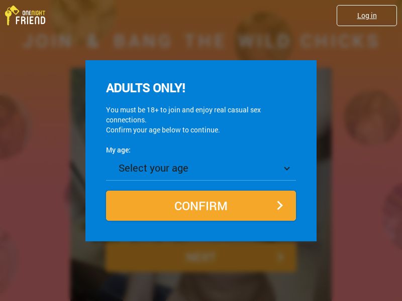 OneNightFriend - PPS