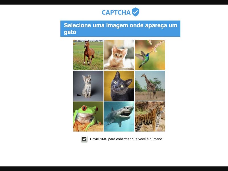 29855 - MultiGeo - [MOB] - Captcha - SMS