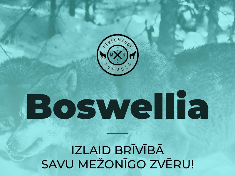 Boswellia LV (potency) - low price