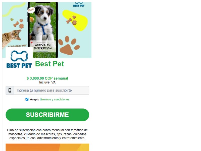 Dog Friend Claro
