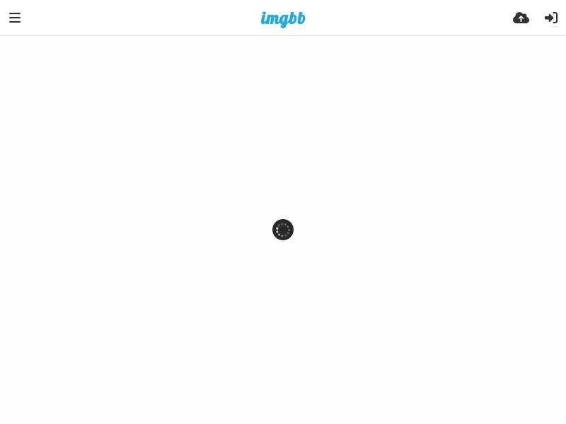 Scoutafi - Network Scanner 
