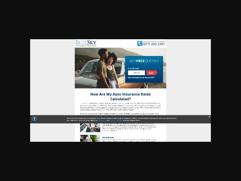 Blue Sky Coverage - Auto Insurance - Revshare (US) {Social, Display Only}