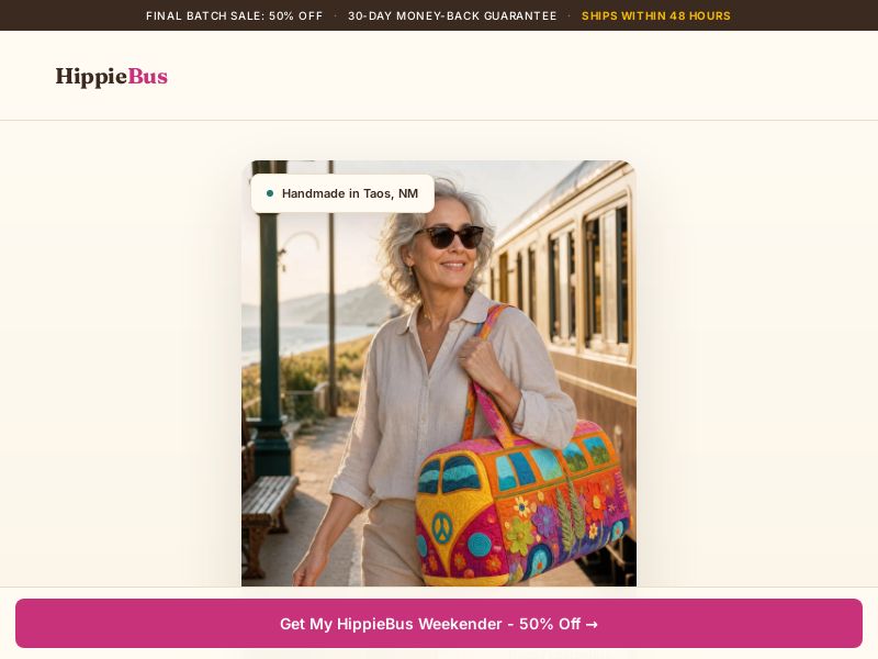 HippieBus Colourful Carry Bag [US] (Social,Banner,Native,Push,SEO,Search,Brand Bidding) - CPA