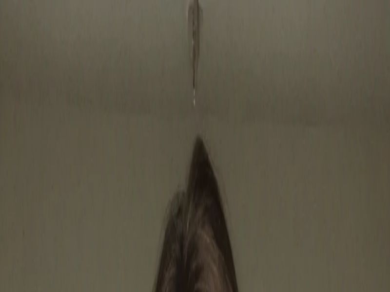 MyLovely Ai - Lifetime Revshare