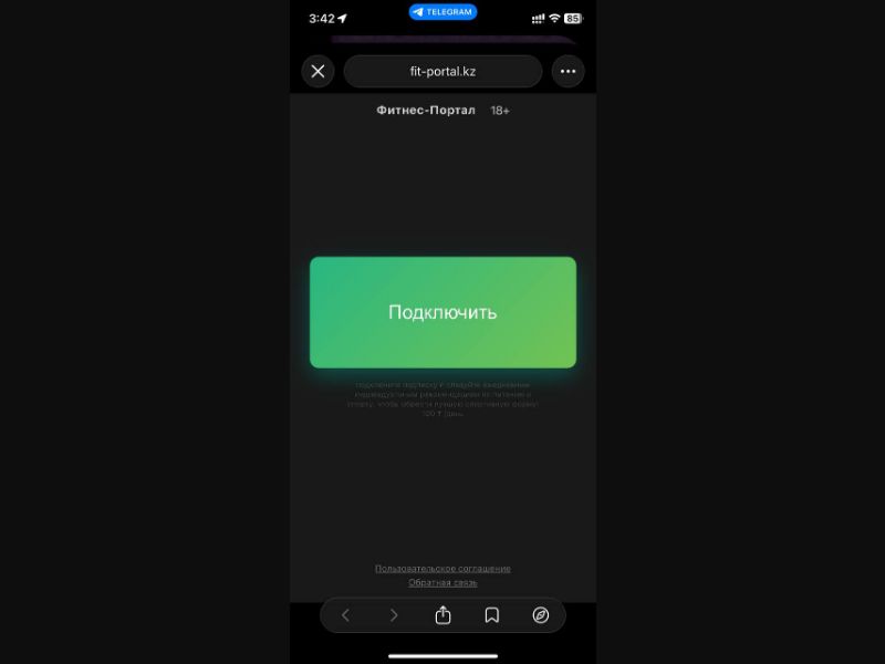 [KZ] FitPortal (GreenB Black)