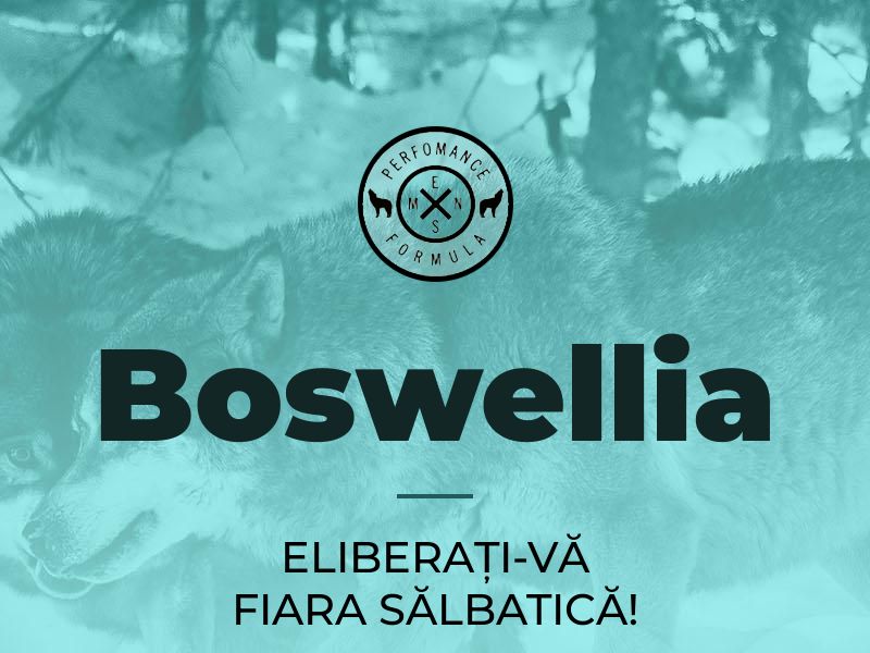 Boswellia RO (potency) - low price