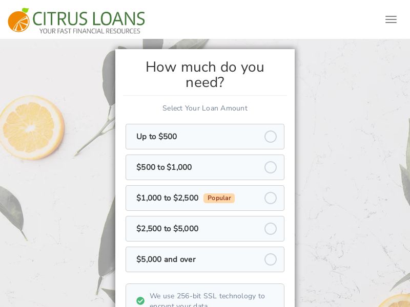 Citrus Loan [EF] - CPA - US
