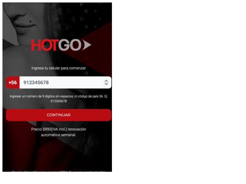  Hotgo Entel