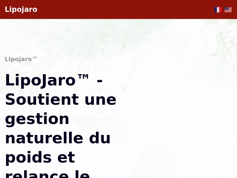 ! NEW OFFER - LipoJaro Diet [FR,BE] (Social,Banner,Native,Push,SEO,Search,Brand Bidding) - CPA