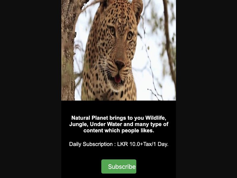 36432 - LK - [MOB] - Natural Planet - Dialog - 2 Click