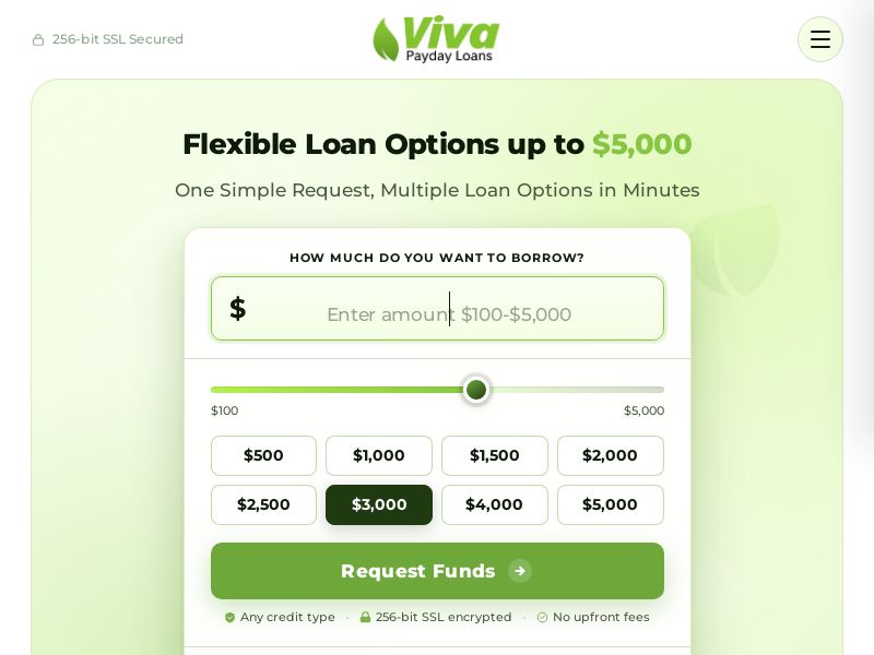 Viva Payday_Instant Loan US