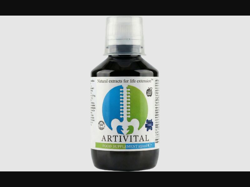Artivital - syrup for joints