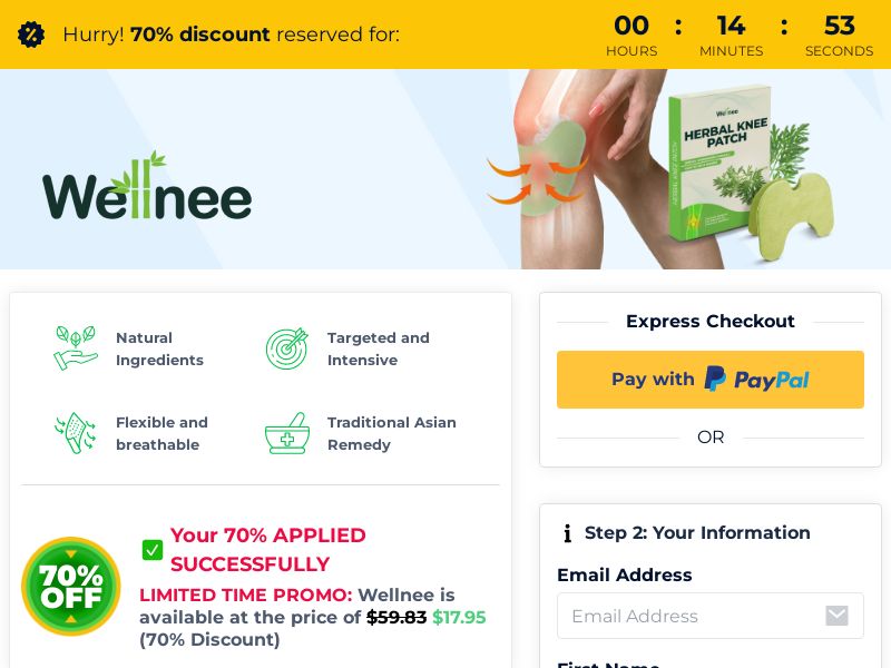 Wellnee Pain Relief Patches US/INTL (No Brand Bidding)