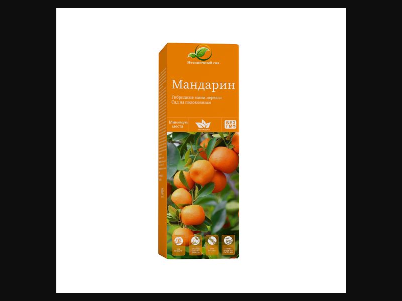 Mandarin - hybrid mini trees | free