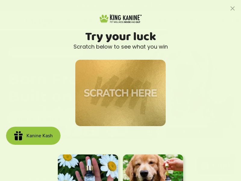 King Kanine - Pet CBD - RevShare (US)