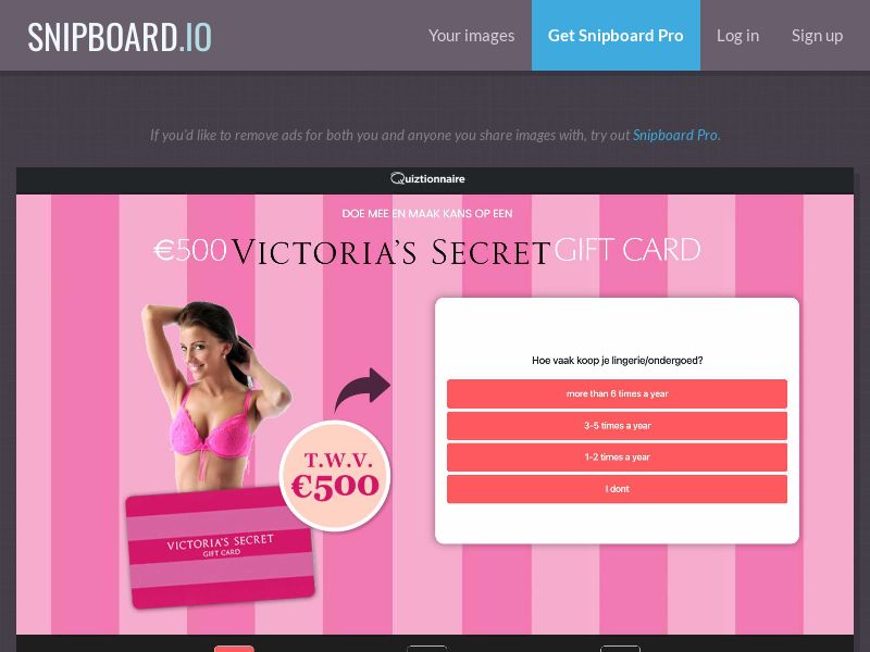 Quiztionnaire - Victoria's Secret NL - SOI