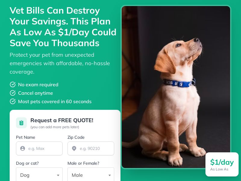Best Pet Insurance | Free Quote | US