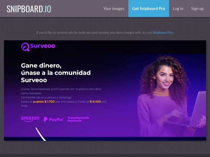 Surveys - Surveoo PA - SOI (Landing Page #4)