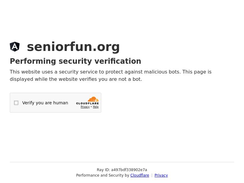 Senior Fun - Revshare Lifetime