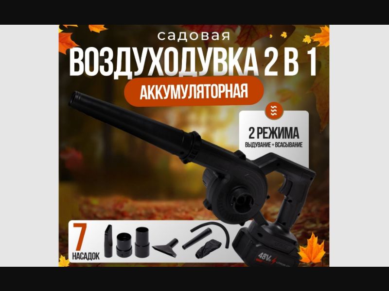 2-in-1 Blower