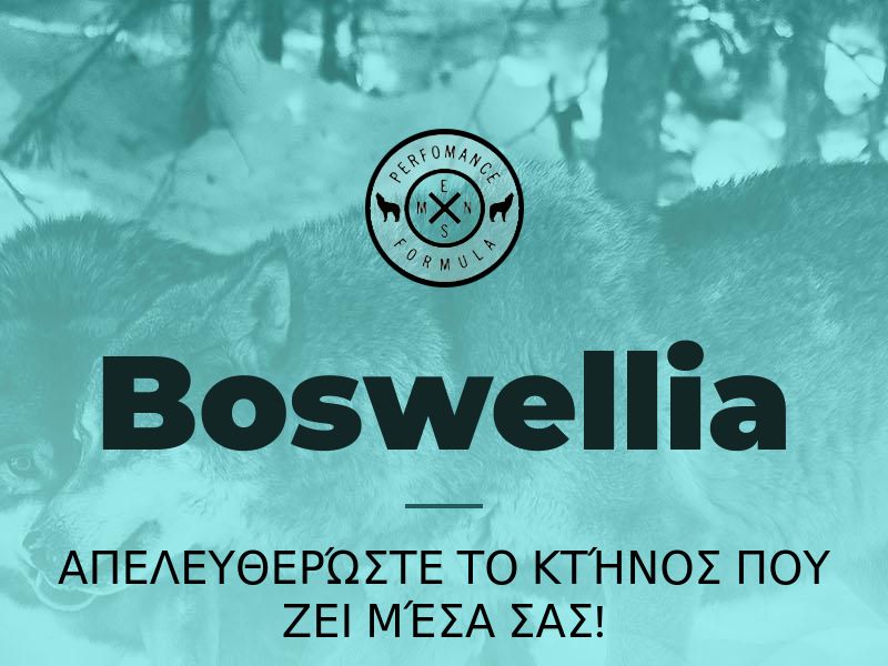 Boswellia GR (potency)