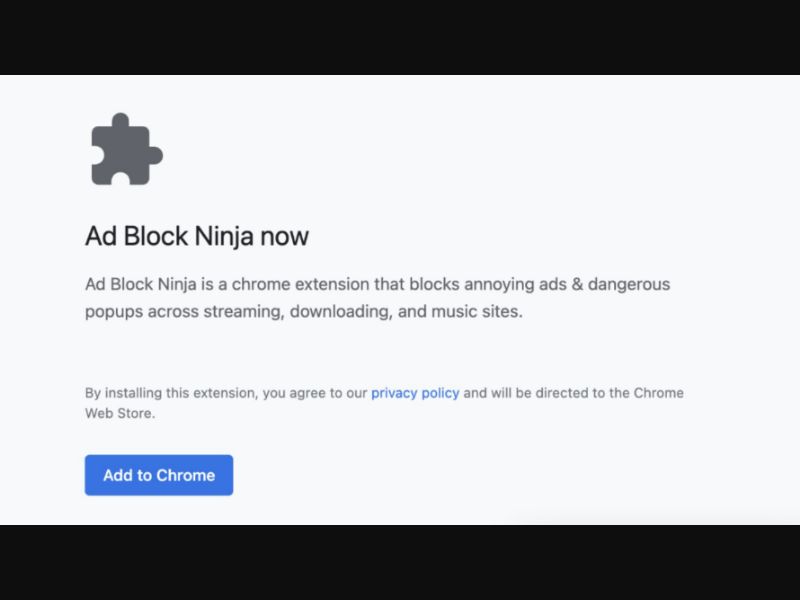 38370 - US - [WEB] - AdBlock-Ninja Windows - Install