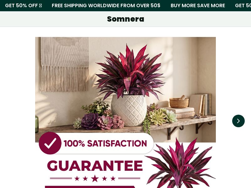 Somnera Artificial Dragon's Blood Tree Plants [US,PH] (Social,Banner,Native,Push,SEO,Search,Brand Bidding)-CPA