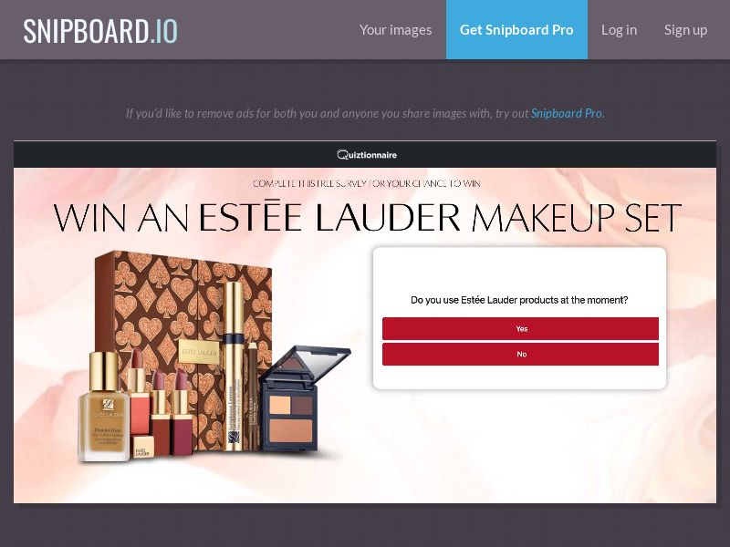 Quiztionnaire - Estee Lauder 500£ Make up Set UK - SOI